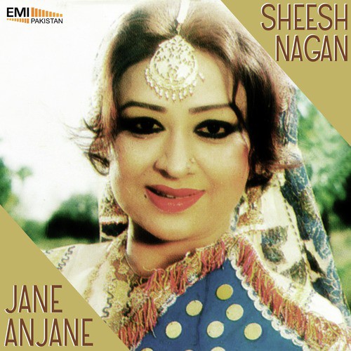 Rut Hai Milan Ki (From Sheesh Nagan) by Robin Ghosh - Download on PagalFree