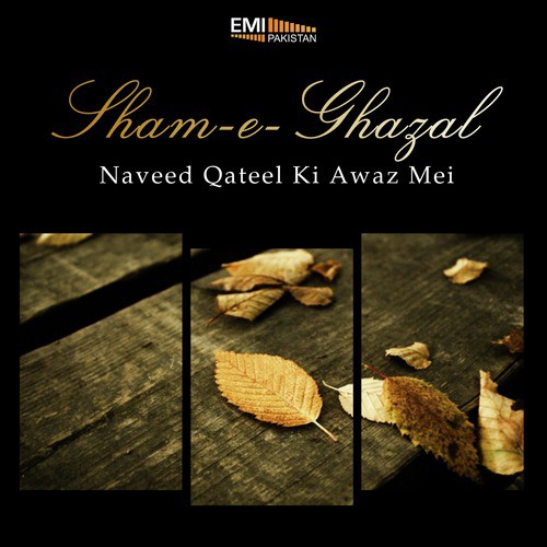 Ajab Hi Zamane Ka by Naveed Qateel - Download on PagalFree