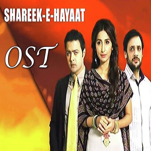Shareek E Hayat by Sahir Ali Bagga - Download on PagalFree
