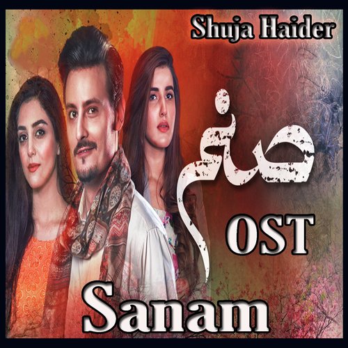 Sanam by Shuja Haider - Download on PagalFree