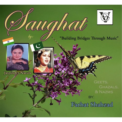 Mehfil Mehfil by Jaspinder Narula, Mehnaz - Download on PagalFree