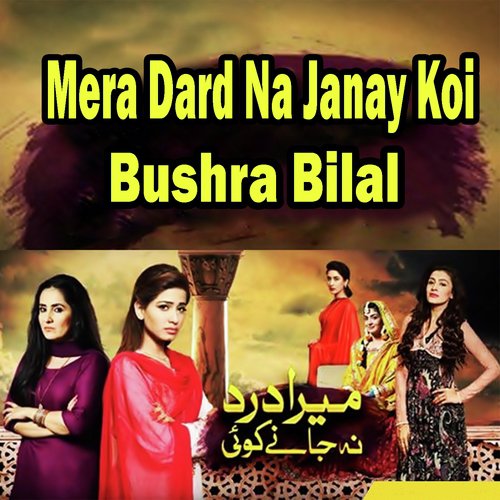 Mera Dard Na Janay Koi by Rahat Fateh Ali Khan - Download on PagalFree
