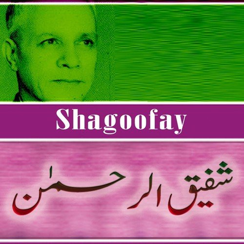 Bari Apaa by Shafiq Ur Rehman - Download on PagalFree