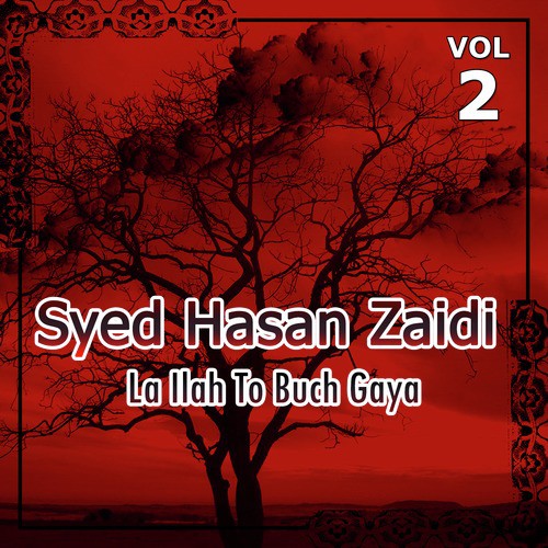Aa Gaya Hye Sham Ka by Syed Hasan Zaidi - Download on PagalFree