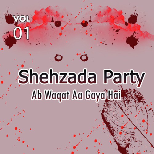 Ashoor Ka Manzar by Shehzada Party - Download on PagalFree
