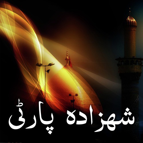 Shehzada Qasim by Shahzada Party - Download on PagalFree