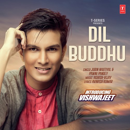 Dil Buddhu by Saabir Khan, Jubin Nautiyal - Download on PagalFree