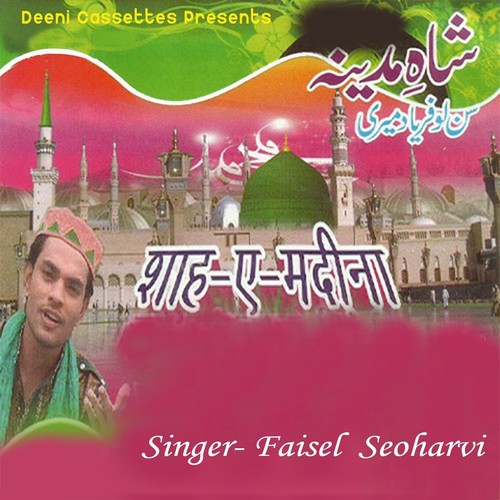 Vhool Gaye Hum by Faisal Seoharvi - Download on PagalFree