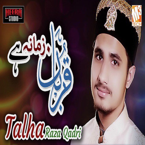 Qurban Zamana Hai by Talha Raza Qadri - Download on PagalFree