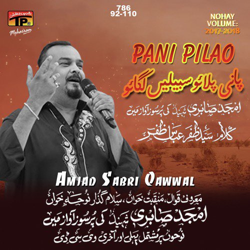 Karbala Koi Bhi Zainab Ka by Amjad Sabri - Download on PagalFree