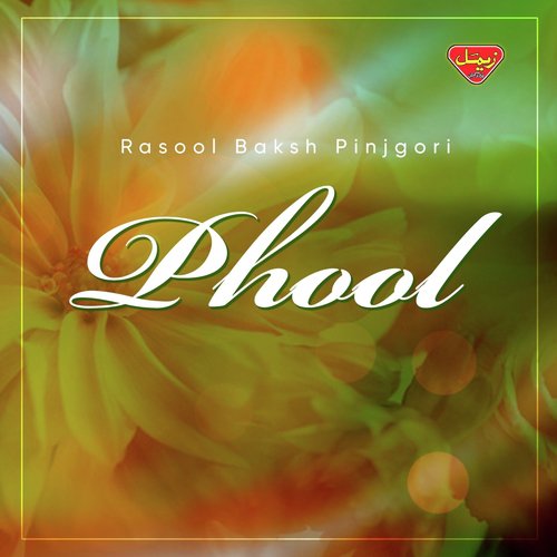 Zantey Aadeega by Rasool Bakhsh Pinjgori - Download on PagalFree