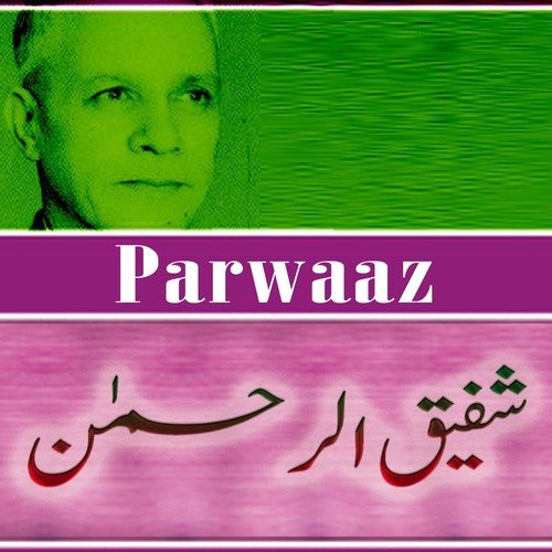 Shaitaan Ki Khala by Shafiq Ur Rehman - Download on PagalFree