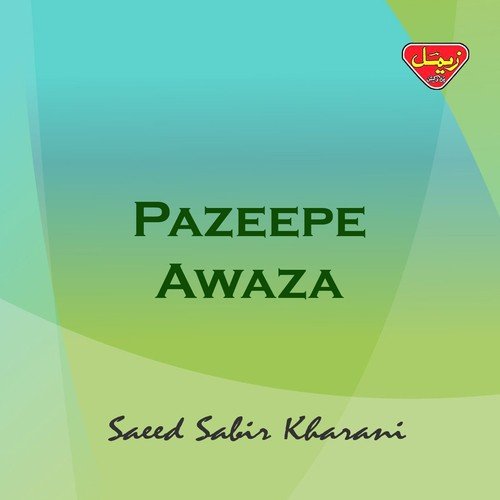 Gusha Bewafa by Saeed Sabir Kharani - Download on PagalFree