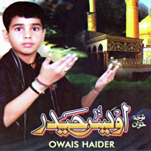 Zainab Kay Ujarnay by Owais Haider - Download on PagalFree