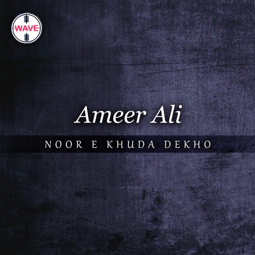 Hamain Mill Jull Ker Rehna by Ameer Ali - Download on PagalFree