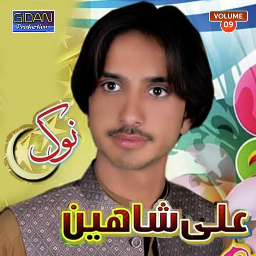 Ae Pull Na Dewana by Ali Shaheen - Download on PagalFree