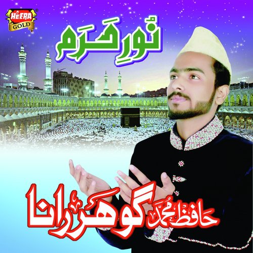 Ghum E Mustafa Main Aey Dil by Hafiz Muhammad Gohar Rana - Download on PagalFree