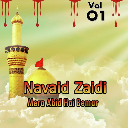 Bi Bi Sughra by Navaid Zaidi - Download on PagalFree