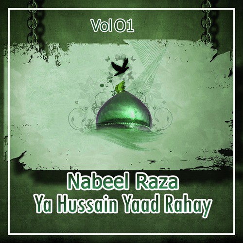 Raas Aein Na Tumhain by Nabeel Raza - Download on PagalFree