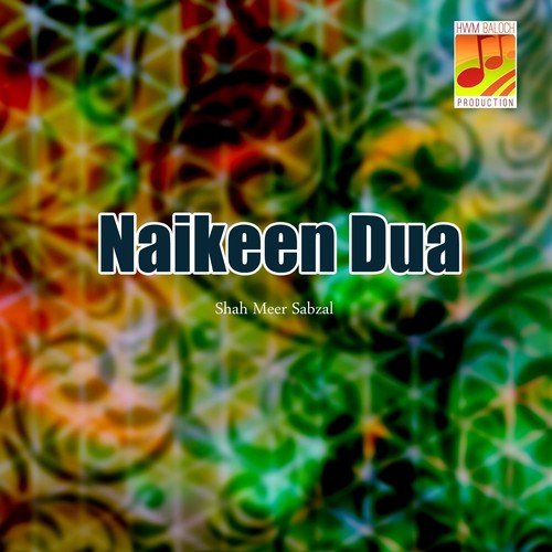Dil Rokein Gaman by Shah Meer Sabzal - Download on PagalFree