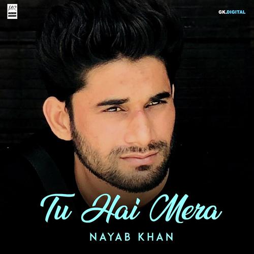 Tu Hi Mera by Naveesh Sharma - Download on PagalFree