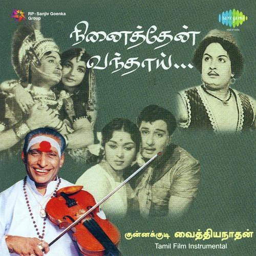 Poo Mazhai Instrumental Ninaiththathai Mudippavan by Kunnakudi Vaidyanathan - Download on PagalFree