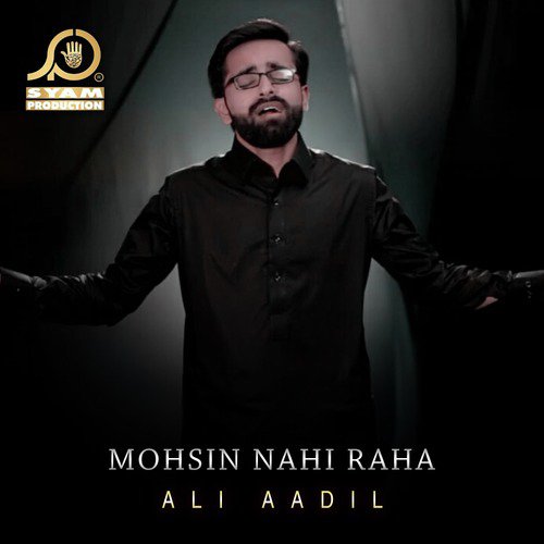 Mohsin Nahi Raha by Ali Aadil - Download on PagalFree