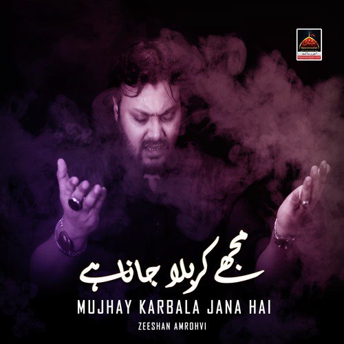 Kaha Hussain Ne Zainab Se Na Malaal Karo by Zeeshan Amrohvi - Download on PagalFree