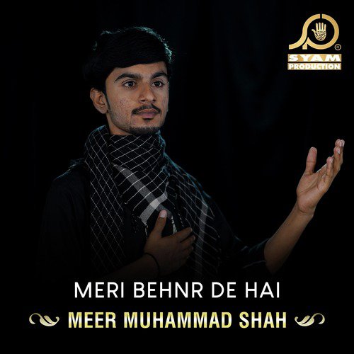Meri Behnr De Hai by Meer Muhammad Shah - Download on PagalFree