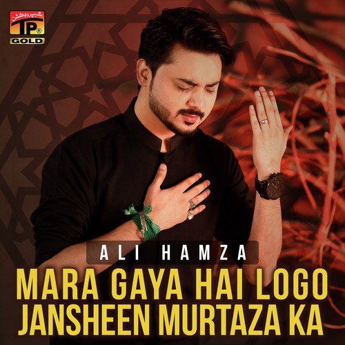 Mara Gaya Hai Logo Jansheen by Ali Hamza - Download on PagalFree