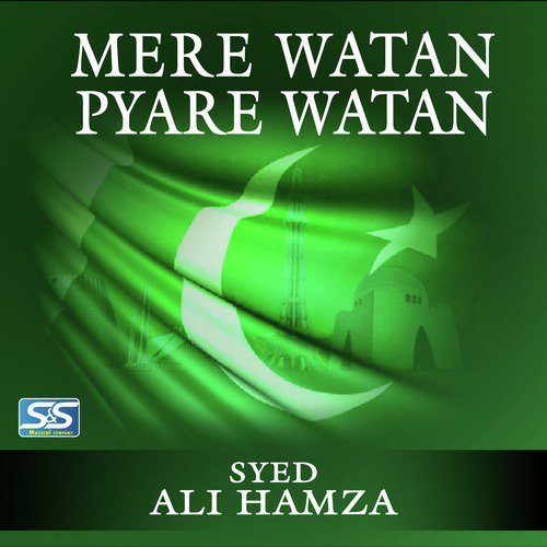 Mere Watan Pyare Watan by Syed Ali Hamza - Download on PagalFree