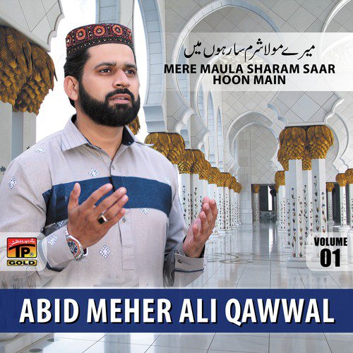 Hazrat Mian Muhammad Baksh by Abid Rauf Qadri - Download on PagalFree