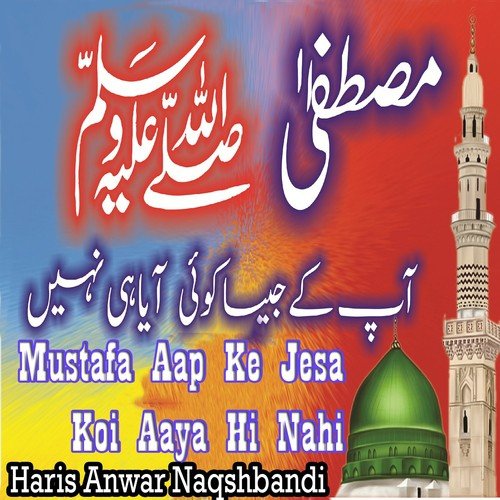 Ya Mustafa by Muhammad Arsalan Qadri - Download on PagalFree