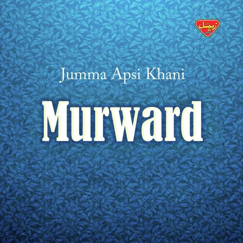 Ho Janik Ladoki by Jumma Apsi Khani - Download on PagalFree