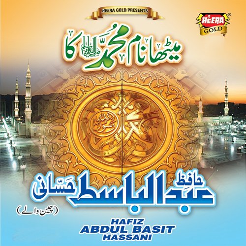 Mera Malik Mera Parwardigar by Hafiz Abdul Basit Hassani - Download on PagalFree