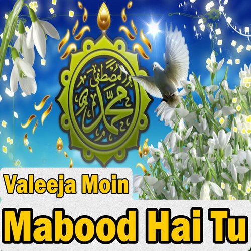 Im Mumtaz by Valeeja Moin - Download on PagalFree