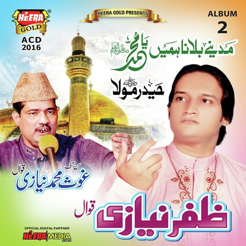 Haider Maula by Zafar Niazi - Download on PagalFree