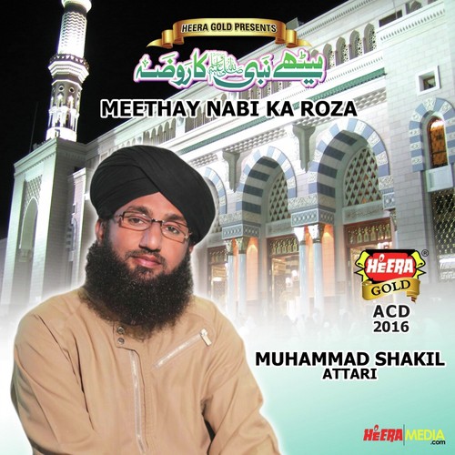 Khuda Ka Zikar Karain (Array) by Muhammad Shakil Attari - Download on PagalFree