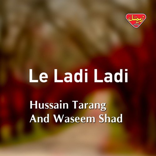 Shahdi Dil Mani by Hussain Tarang, Waseem Shad - Download on PagalFree