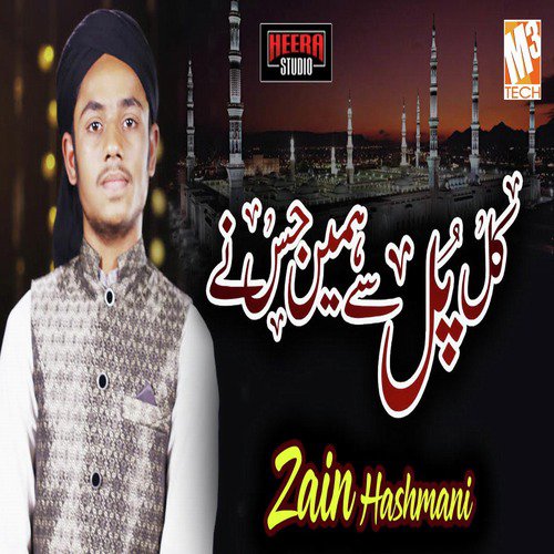 Kal Pul Se Hamein by Zain Hashmani - Download on PagalFree