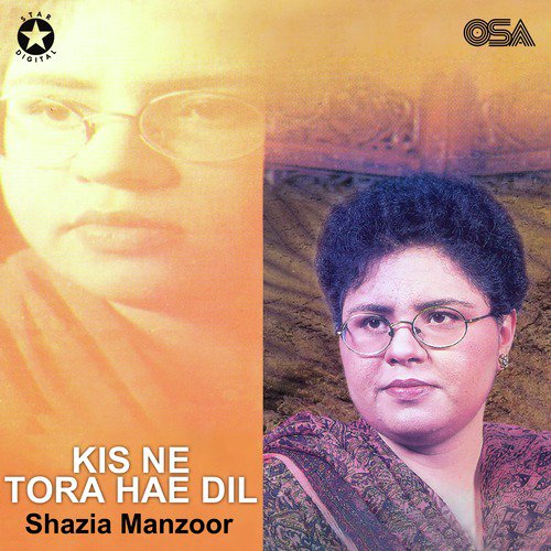 Dil Ko Aaj Dilbar Mila by Shazia Manzoor - Download on PagalFree