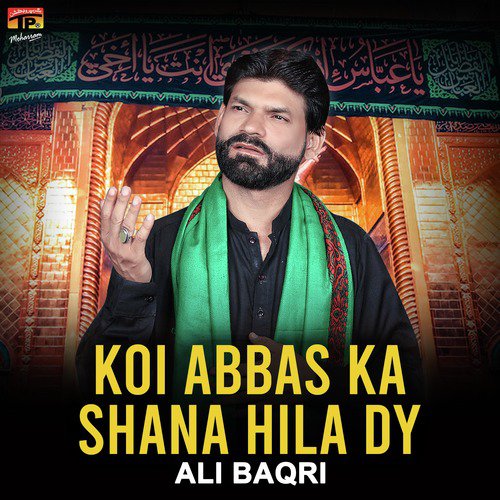 Sada Pyar Karenge by Ali Baqri - Download on PagalFree