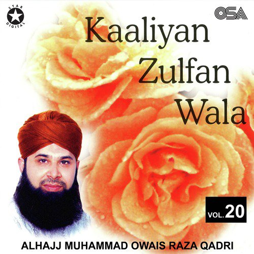 Nabi Ka Aastan Ho Aur Mera Sar Ho by Alhajj Muhammad Owais Raza Qadri - Download on PagalFree