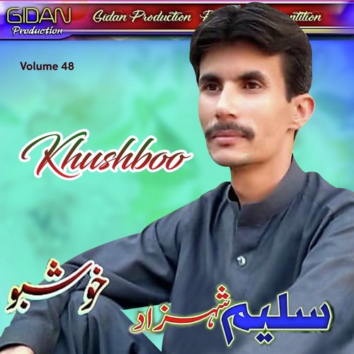 Yad Wakhtas by Saleem Shahzad - Download on PagalFree