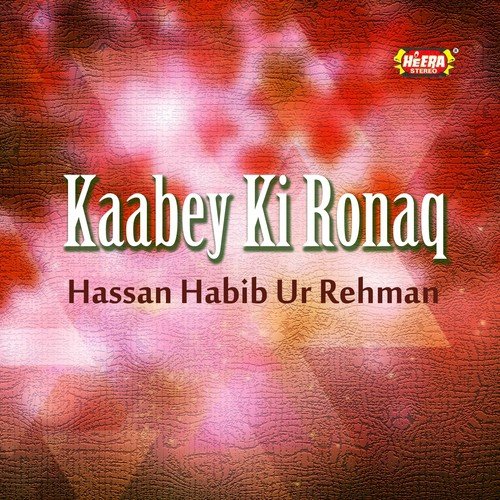 Salaam Aey Murshid Kamil by Hassan Habib Ur Rehman - Download on PagalFree