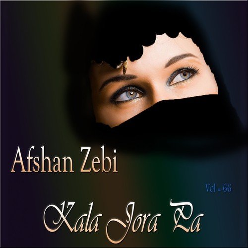 Dhola Nika Jo Hai by Afshan Zebi - Download on PagalFree