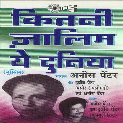 Zamane Se Behtar Hamara Watan Hai by Habib Painter - Download on PagalFree