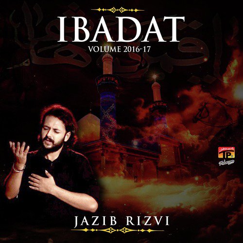 Marjaae Jo by Jazib Rizvi - Download on PagalFree