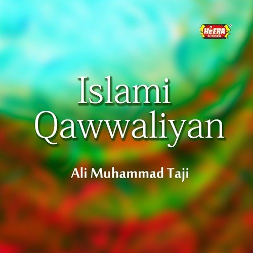 Main To Deewana by Ali Muhammad Taji - Download on PagalFree