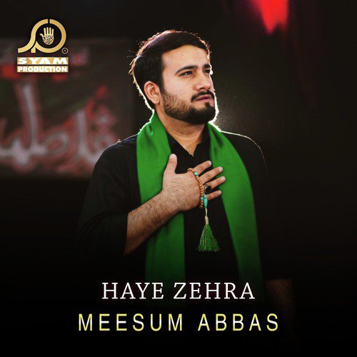 Haye Zehra by Meesum Abbas - Download on PagalFree